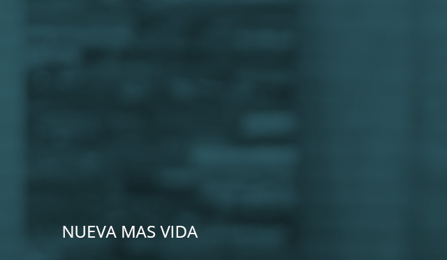 Nueva Mas Vida PAULA
