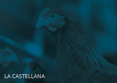LA CASTELLANA